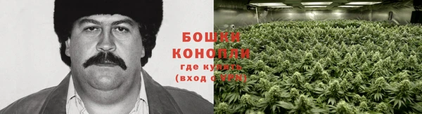 шишки Алексеевка