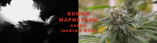 шишки Алексеевка